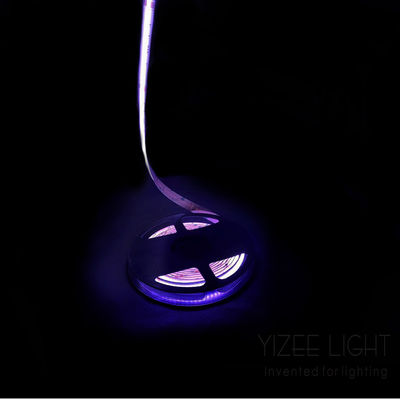 Không chấm màu Cob Rgb Rgbw Địa chỉ LED Strip 784 Chips / M 24V 12mm